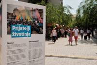 VegeSajam 2024_Vanja Babi� [ 214.68 Kb ]