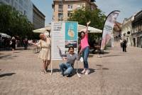 VegeSajam 2024_Vanja Babi� [ 292.82 Kb ]