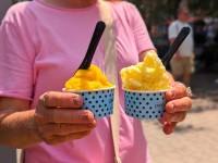 VegeSajam 2024_P� [ 119.66 Kb ]