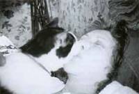 Bestijalnost ili ne? [ 9.25 Kb ]