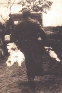 Vječna Treblinka naslovnica - njemački vojnik [ 23.95 Kb ]