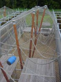 Centar u kojem �e �impanze iz BPRC-a �ivjeti [ 49.84 Kb ]