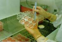 Tehnike stani�nih i kultura tkiva [ 54.82 Kb ]