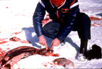 Lov na tuljane - Lovac na tuljane 6 [ 55.61 Kb ]