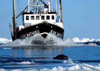 Lov na tuljane - Brod [ 53.39 Kb ]
