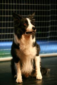 Monta�stroj: Timbuktu [ 56.22 Kb ]