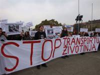 Protest against live animal transport 16 [ 87.95 Kb ]