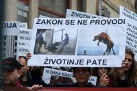 Protest against live animal transport Javno.com 1 [ 76.35 Kb ]