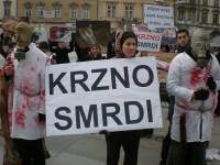 Anti-fur action in Osijek 1