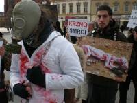 Anti-fur action in Osijek 2