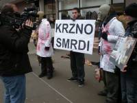 Anti-fur action in Osijek 3