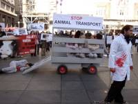Demo against animal transport 2009