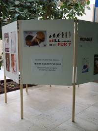 DAF 2009 - exhibition4