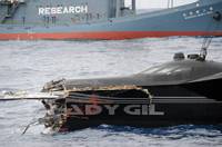 Ady Gil 2 - copyright Sea Shepherd [ 37.42 Kb ]