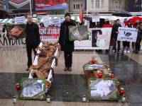 Anti-fur demo Zagreb 2010 c