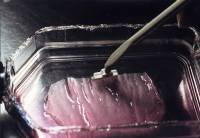 Ljudsko tkivo [ 100.85 Kb ]