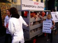 Prosvjed protiv transporta životinja 2010. 22 [ 137.32 Kb ]