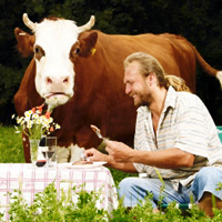 Čovjek i krava