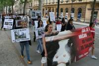 Demo against animal transport, Zagreb 2012 [ 108.61 Kb ]