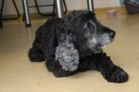 Cooking workshop 4 [ 181.72 Kb ]