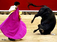 Budding Bullfighters 1 [ 15.48 Kb ]