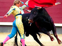 Budding Bullfighters 2 [ 17.62 Kb ]