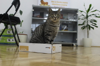 Budi prijatelj �ivotinja