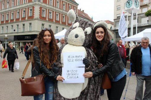 Chinci with people [ 129.10 Kb ]