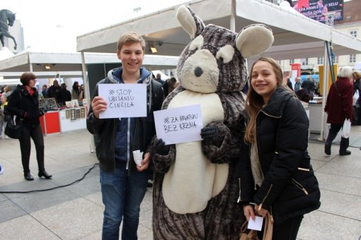 Chinci with people [ 119.02 Kb ]