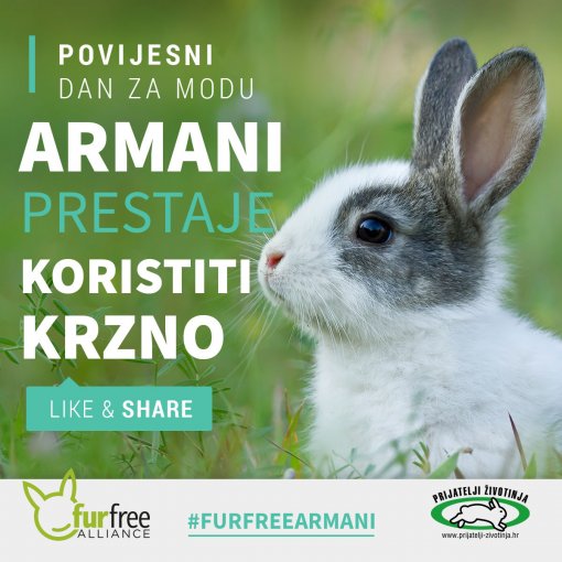 Armani stops using fur [ 247.75 Kb ]