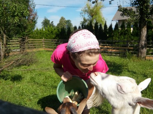 Animal shelter Koki 4 [ 211.74 Kb ]