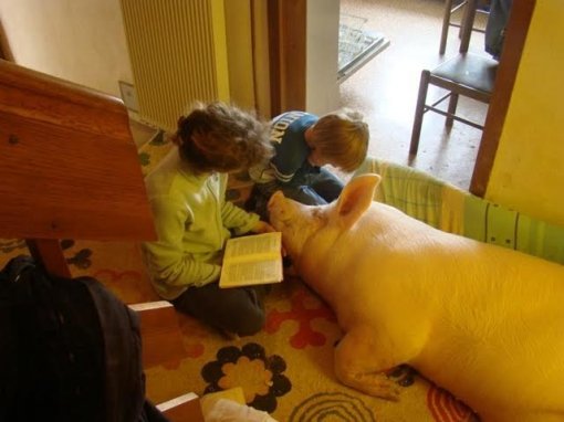 Odi, Ksenija, Koki [ 38.72 Kb ]