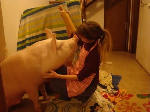 Odi, Ksenija, Koki [ 37.46 Kb ]