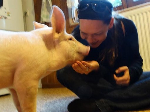 Odi, Ksenija, Koki [ 45.10 Kb ]