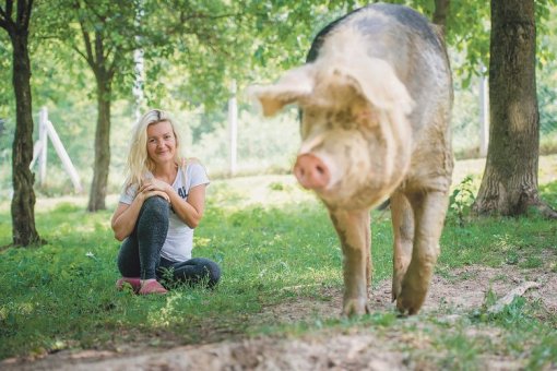 Dom sretnih �ivotinja [ 91.82 Kb ]