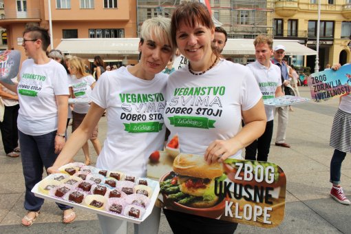 10 reasons for 10 years of ZeGeVege [ 492.32 Kb ]