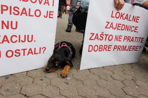 pas i poruka lokalnim zajednicama [ 221.28 Kb ]