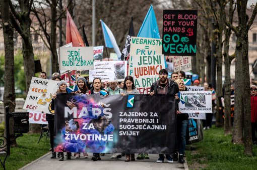 Mar� za �ivotinje 2019. - Uro� Modlic [ 555.33 Kb ]