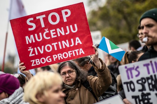 Mar� za �ivotinje 2019. - Uro� Modlic [ 345.69 Kb ]