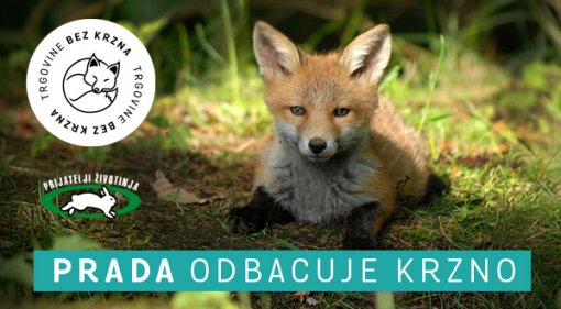 prada odbacuje krzno [ 197.13 Kb ]