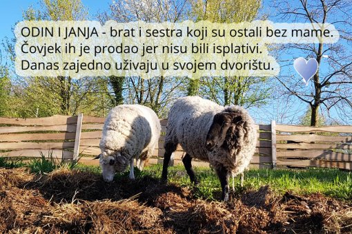 Odin i Janja [ 882.96 Kb ]