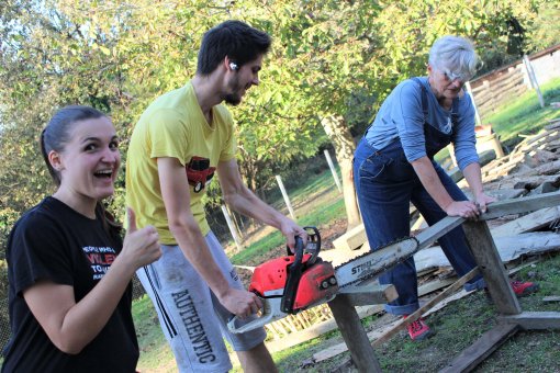 radna akcija [ 1.55 Mb ]