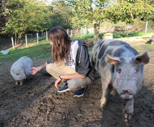 prijatelji [ 1.08 Mb ]