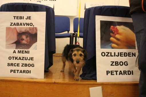 Stru�njaci za zabranu petardi [ 365.06 Kb ]