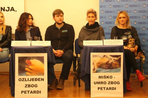 Stru�njaci za zabranu petardi [ 371.34 Kb ]