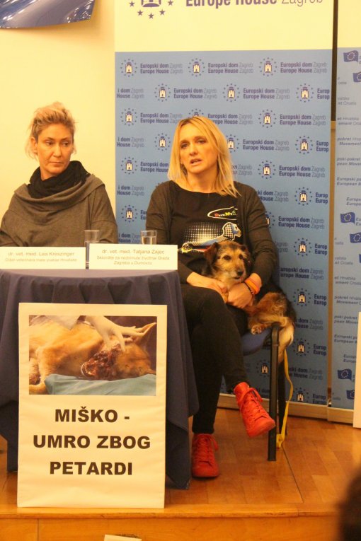 Stru�njaci za zabranu petardi [ 954.22 Kb ]