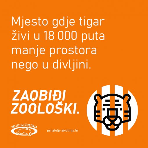Zaobiđi zoološki tigar [ 311.16 Kb ]