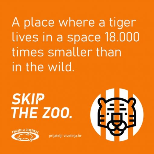 Skip the zoo [ 68.58 Kb ]