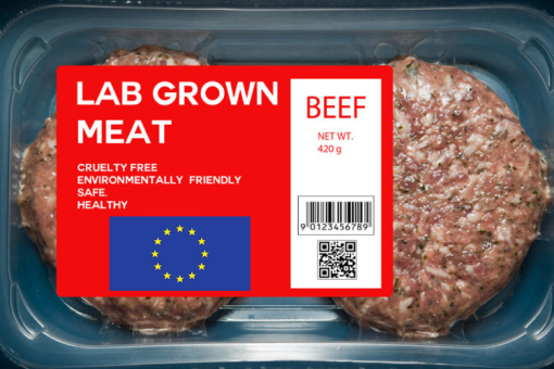 lab meat [ 514.20 Kb ]
