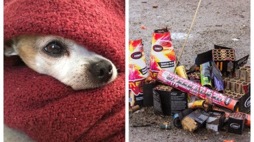 pirotehnika [ 171.45 Kb ]